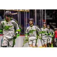 Saskatchewan Rush enter the field