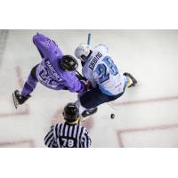 Rapid City Rush's Matthew Marcinew battles Toledo Walleye's Thomas Ebbing