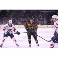 Springfield Thunderbirds battle the Providence Bruins