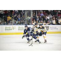 Worcester Railers vs. the Norfolk Admirals