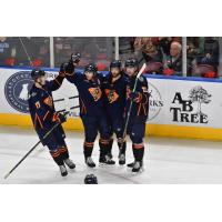 Greenville Swamp Rabbits celebrate a goal