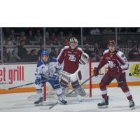 Peterborough Petes goaltender Michael Simpson stands tall against the Sudbury Wolves