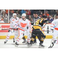 Lehigh Valley Phantoms left wing Elliot Desnoyers vs. the Providence Bruins