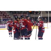 South Carolina Stingrays gather after a goal