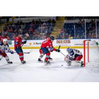 Springfield Thunderbirds' Adam Gaudette in action