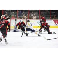 Norfolk Admirals' Griffin Lunn in action