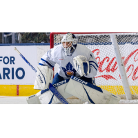 Goaltender Dylan Ferguson with the Toronto Marlies