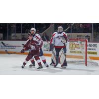 Peterborough Petes' Connor Lockhart on game night