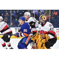 Bridgeport Islanders' Chris Terry and Belleville Senators' Maxence Guenette and Luke Richardson on game night