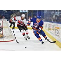 Bridgeport Islanders' Chris Terry in action