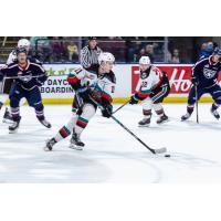 Kelowna Rockets' Carson Golder in action