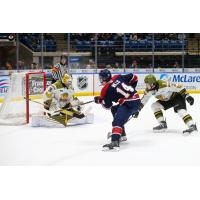 Saginaw Spirit's Joey Willis in action