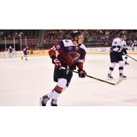 South Carolina Stingrays in action