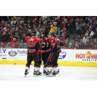 Cincinnati Cyclones celebrate win