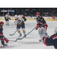 Chicago Wolves' Malte Stromwall and Grand Rapids Griffins' Austin Czarnik on game night