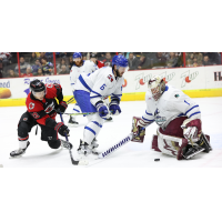 Cincinnati Cyclones' Zac Herrmann and Wichita Thunder's Zack Hoffman and Eric Dop in action