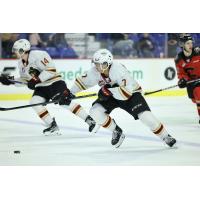 Vancouver Giants' Ethan Semeniuk and Ty Halaburda in action