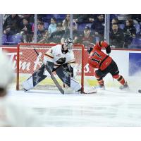 Vancouver Giants' Jesper Vikman battles Prince George Cougars' Zac Funk