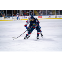 Springfield Thunderbirds battle the Rochester Americans