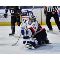 Belleville Senators' Mads Sogaard in action