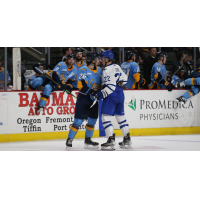 Toledo Walleye's Riley McCourt versus Wichita Thunder's Michal Stinil