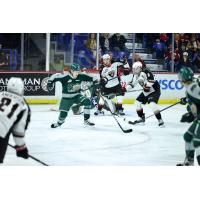 Vancouver Giants' Colton Langkow in action