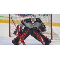 Goaltender Justin Kapelmaster