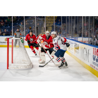 Springfield Thunderbirds defenseman Scott Perunovich vs. the Charlotte Checkers