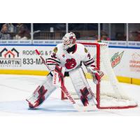 Rockford IceHogs goaltender Jaxson Stauber