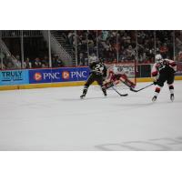 Belleville Senators goaltender Kevin Mandolese awaits a shot