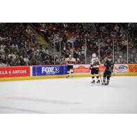 Belleville Senators celebrate a goal