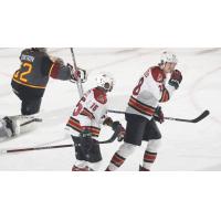 Tucson Roadrunners forwards Boko Imama and Curtis Douglas vs. the Chicago Wolves