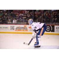 Worcester Railers goaltender Henrik Tikkanen