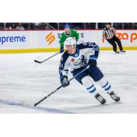 Forward Colin Bilek with the Manitoba Moose