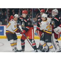 Grand Rapids Griffins take on the Chicago Wolves