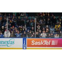 Saskatoon Blades fans cheer on the team