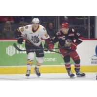 Chicago Wolves' Mackenzie MacEachern versus Grand Rapids Griffins' Joel L'Esperance