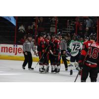 Cincinnati Cyclones celebrate win