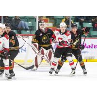 Vancouver Giants' Carson Haynes, Brett Mirwald and Mazden Leslie and Prince George Cougars' Zac Funk on game night