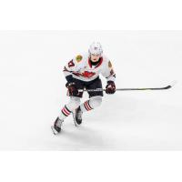 Rockford  IceHogs forward Lukas Reichel