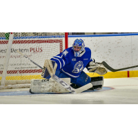 Goaltender Roman Basran with the Mississauga Steelheads