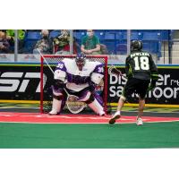 Saskatchewan Rush forward Marshall Powless takes a shot against Panther City