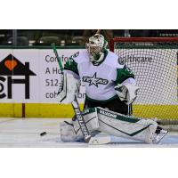 Texas Stars' Anton Khudobin in action