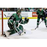 Texas Stars goaltender Adam Scheel