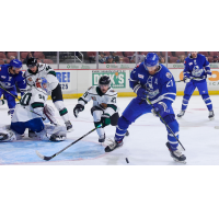 Wichita Thunder forward Jay Dickman vs. the Utah Grizzlies