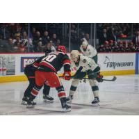 Grand Rapids Griffins' Riley Sawchuk versus Iowa Wild's Marco Rossi