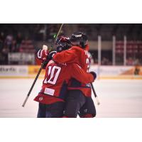 South Carolina Stingrays' Lawton Courtnall and Chaz Reddekopp celebrate win