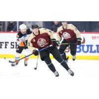 Tucson Roadrunners' Nathan Smith in action