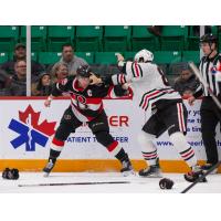 Belleville Senators' Captain Dillon Heatherington battles on the ice