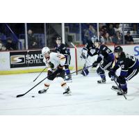 Vancouver Giants' Skyler Bruce in action against Victoria Royals' Austin Zemlak, Nate Misskey and Teydon Trembecky